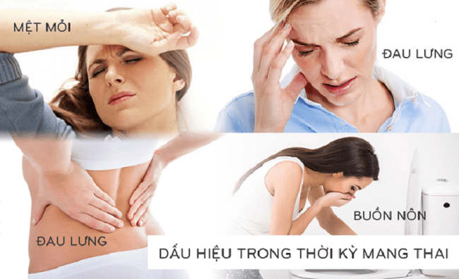 dấu hiệu thiếu canxi khi mang thai