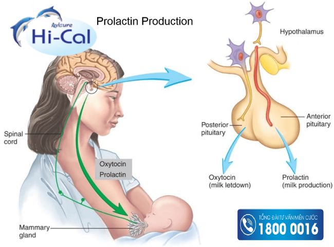 sau sinh mổ bao lâu thì có kinh