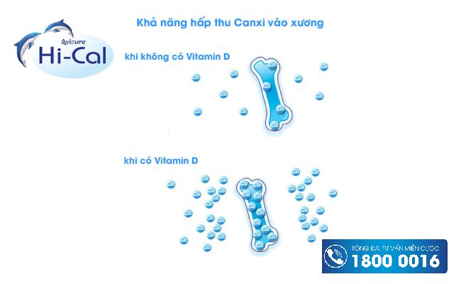 Tác dụng của thuốc vitamin D