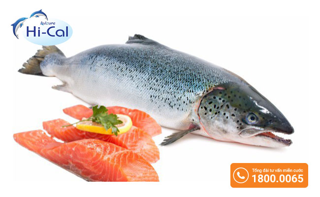 Cá Hồi giàu omega 3 và canxi nên được khuyến khích dùng cho những người bị loãng xương