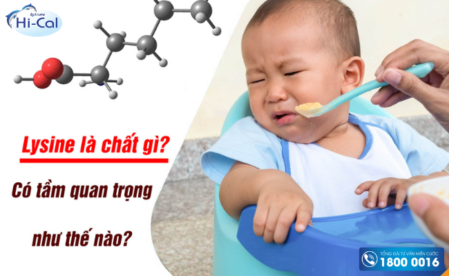 Vai trò của Lysine đối với trẻ nhỏ